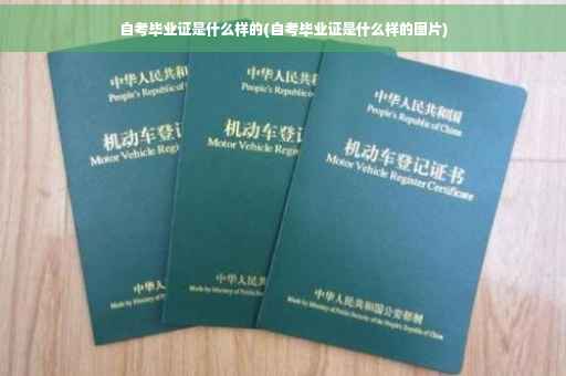自考毕业证是什么样的(自考毕业证是什么样的图片)