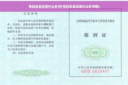 专科毕业证是什么名字(专科毕业证是什么名字啊)