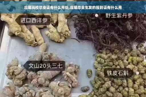 应届高校毕业证有什么用处,应届毕业生发的报到证有什么用