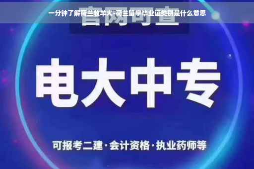 一分钟了解荷兰牧羊犬-荷兰留学毕业证类别是什么意思