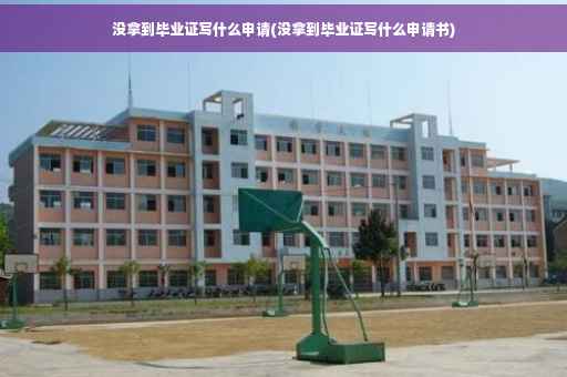没拿到毕业证写什么申请(没拿到毕业证写什么申请书)