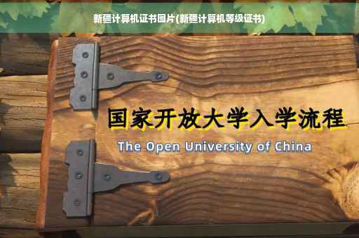 新疆计算机证书图片(新疆计算机等级证书)