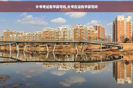 中专考试有学籍号吗,中专在读有学籍号吗