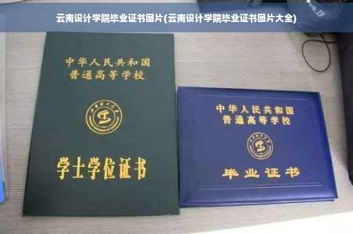 云南设计学院毕业证书图片(云南设计学院毕业证书图片大全)