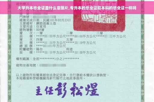 大学升本毕业证盖什么章图片,专升本的毕业证和本科的毕业证一样吗