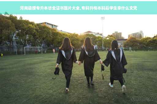 河南函授专升本毕业证书图片大全,专科升格本科后学生拿什么文凭