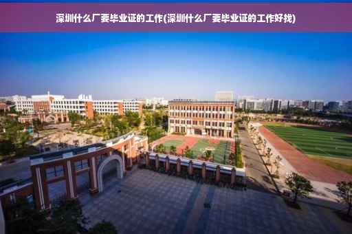 深圳什么厂要毕业证的工作(深圳什么厂要毕业证的工作好找)