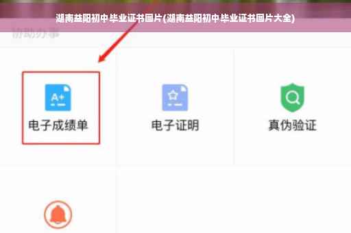 湖南益阳初中毕业证书图片(湖南益阳初中毕业证书图片大全)