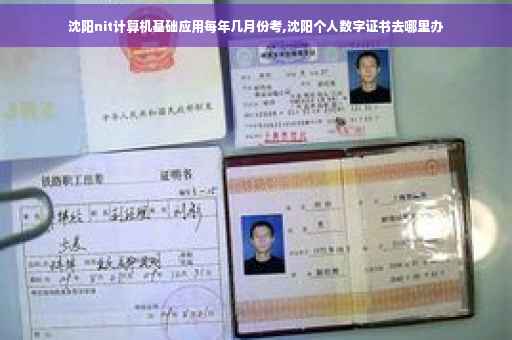 沈阳nit计算机基础应用每年几月份考,沈阳个人数字证书去哪里办