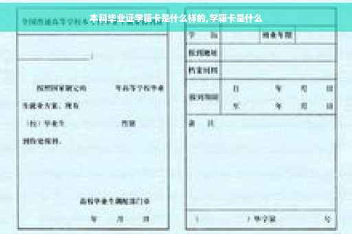 本科毕业证学籍卡是什么样的,学籍卡是什么