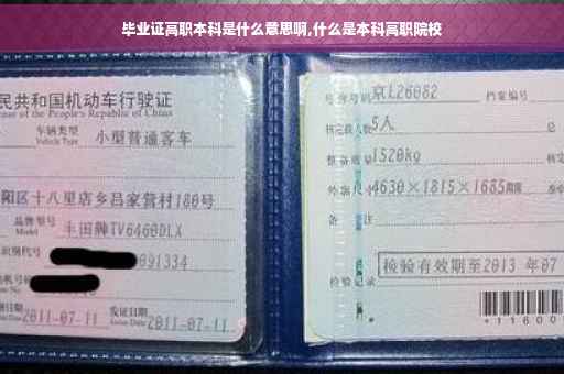 毕业证高职本科是什么意思啊,什么是本科高职院校