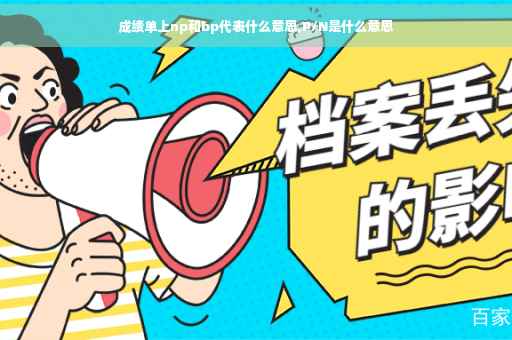 成绩单上np和bp代表什么意思,P/N是什么意思