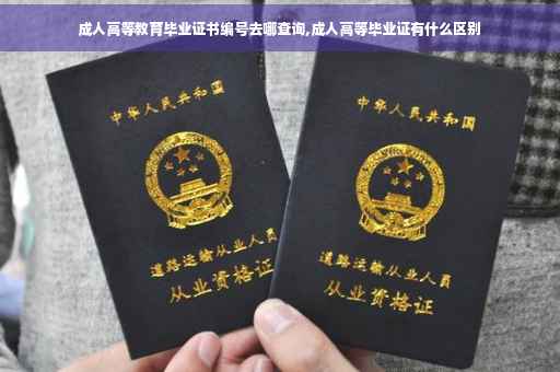 成人高等教育毕业证书编号去哪查询,成人高等毕业证有什么区别