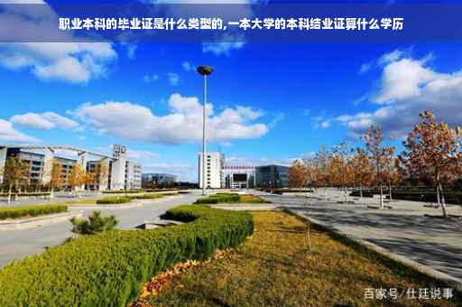 职业本科的毕业证是什么类型的,一本大学的本科结业证算什么学历