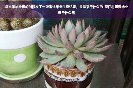 拿自考毕业证的时候发了一张考试毕业生登记表，是拿来干什么的-现在村里要毕业证干什么用