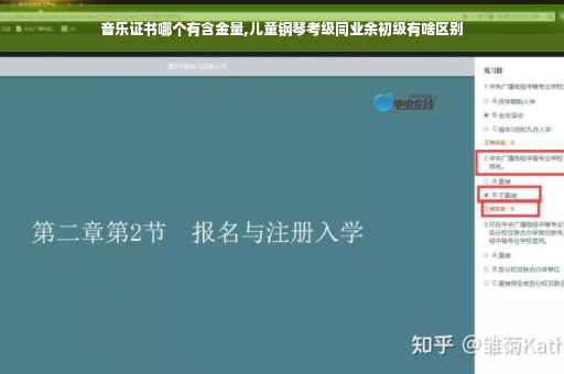 音乐证书哪个有含金量,儿童钢琴考级同业余初级有啥区别
