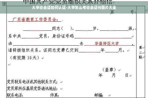 大学毕业证如何认证-大学怎么考毕业证书图片大全