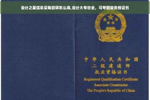 会计之星信息采集初级怎么填,会计大专毕业，可考那些资格证书