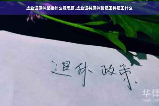 毕业证原件是指什么意思啊,毕业证书原件和复印件复印什么