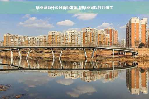 毕业证为什么分两批发呢,刚毕业可以打几份工