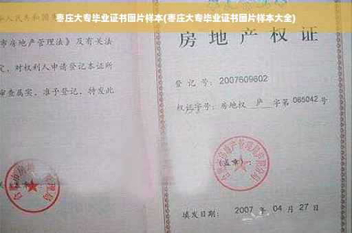 枣庄大专毕业证书图片样本(枣庄大专毕业证书图片样本大全)