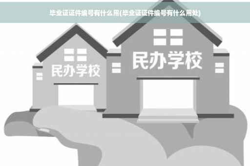 毕业证证件编号有什么用(毕业证证件编号有什么用处)