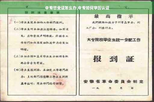 中专毕业证怎么办,中专如何学历认证