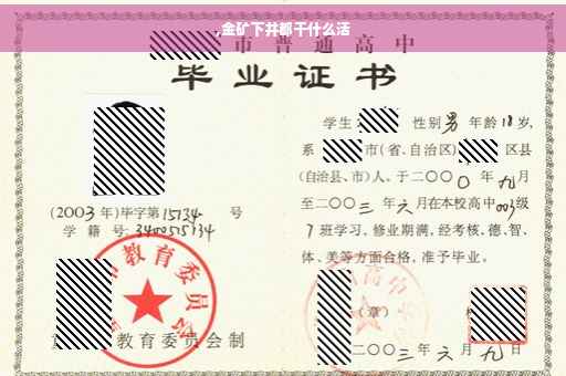 ,金矿下井都干什么活