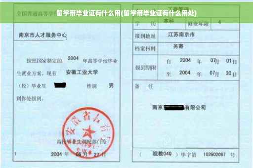 留学带毕业证有什么用(留学带毕业证有什么用处)