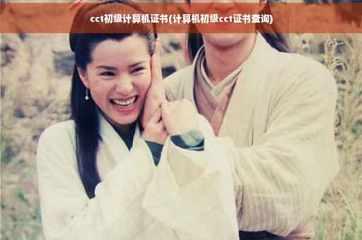 cct初级计算机证书(计算机初级cct证书查询)