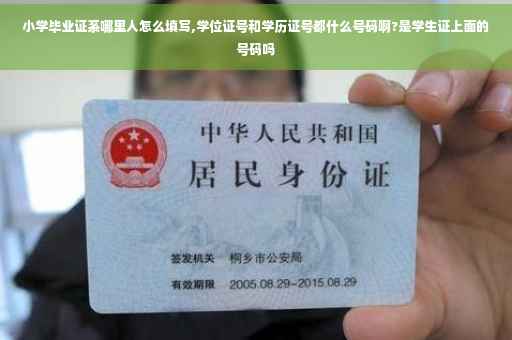 小学毕业证系哪里人怎么填写,学位证号和学历证号都什么号码啊?是学生证上面的号码吗