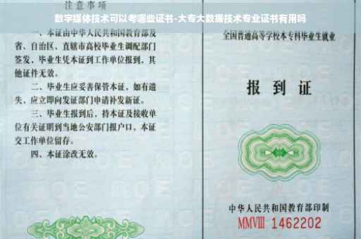 数字媒体技术可以考哪些证书-大专大数据技术专业证书有用吗