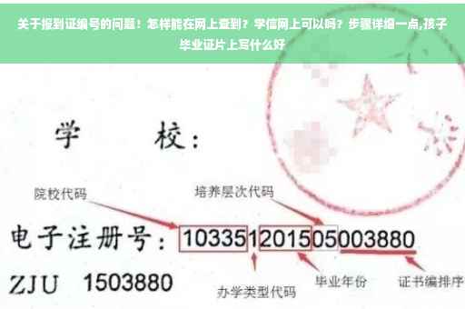 关于报到证编号的问题！怎样能在网上查到？学信网上可以吗？步骤详细一点,孩子毕业证片上写什么好