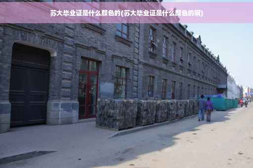 苏大毕业证是什么颜色的(苏大毕业证是什么颜色的啊)