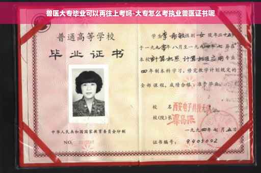 兽医大专毕业可以再往上考吗-大专怎么考执业兽医证书呢