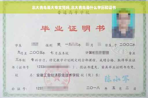 北大青鸟是大专文凭吗,北大青鸟是什么学历和证书