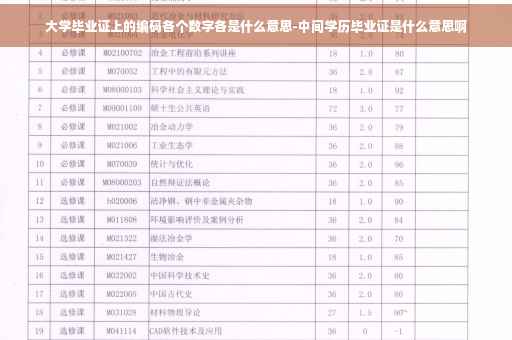 大学毕业证上的编码各个数字各是什么意思-中间学历毕业证是什么意思啊