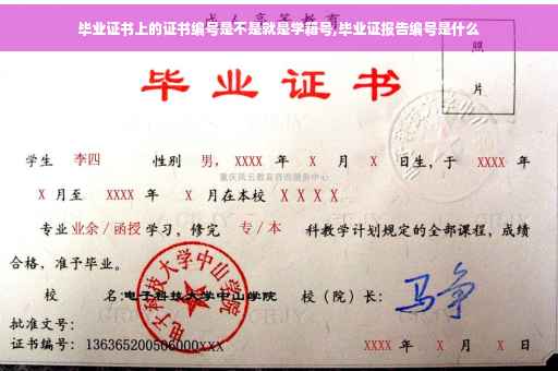毕业证书上的证书编号是不是就是学籍号,毕业证报告编号是什么