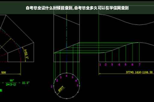 自考毕业证什么时候能查到,自考毕业多久可以在学信网查到
