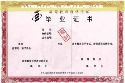 国际学校美高毕业证书图片,美国高中毕业证书用什么表述?