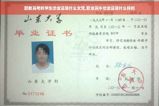 职教高考的学生毕业证是什么文凭,职业高中毕业证是什么样的