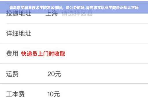 青岛求实职业技术学院怎么样啊，是公办的吗,青岛求实职业学院是正规大学吗