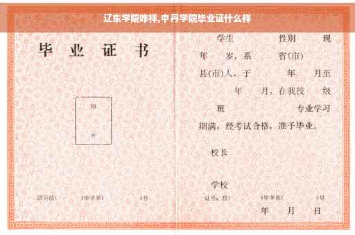 辽东学院咋样,中丹学院毕业证什么样