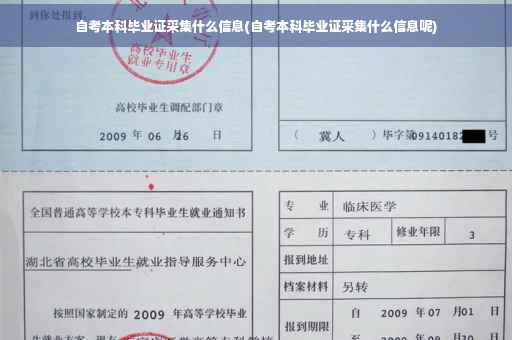 自考本科毕业证采集什么信息(自考本科毕业证采集什么信息呢)