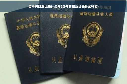 自考的毕业证是什么样(自考的毕业证是什么样的)