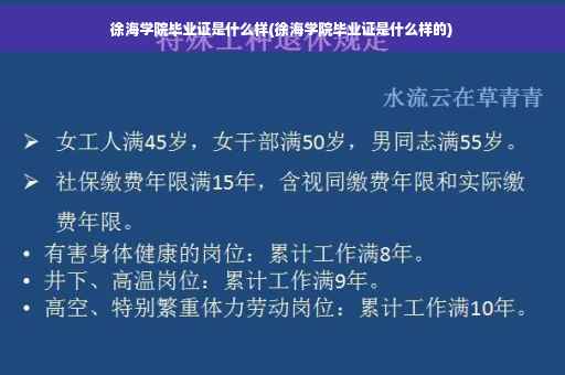 徐海学院毕业证是什么样(徐海学院毕业证是什么样的)