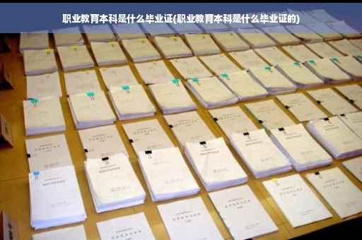 职业教育本科是什么毕业证(职业教育本科是什么毕业证的)
