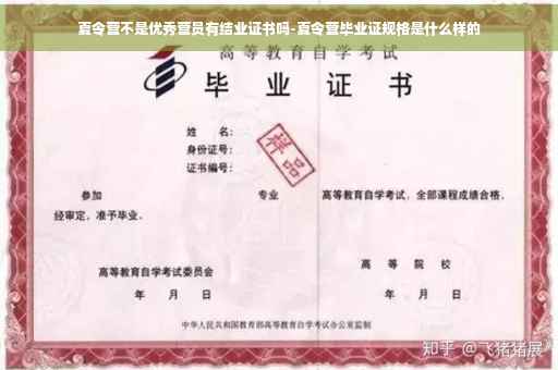 夏令营不是优秀营员有结业证书吗-夏令营毕业证规格是什么样的