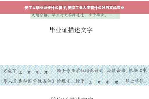 安工大毕业证长什么样子,安徽工业大学有什么好的文科专业
