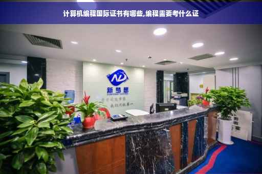 计算机编程国际证书有哪些,编程需要考什么证